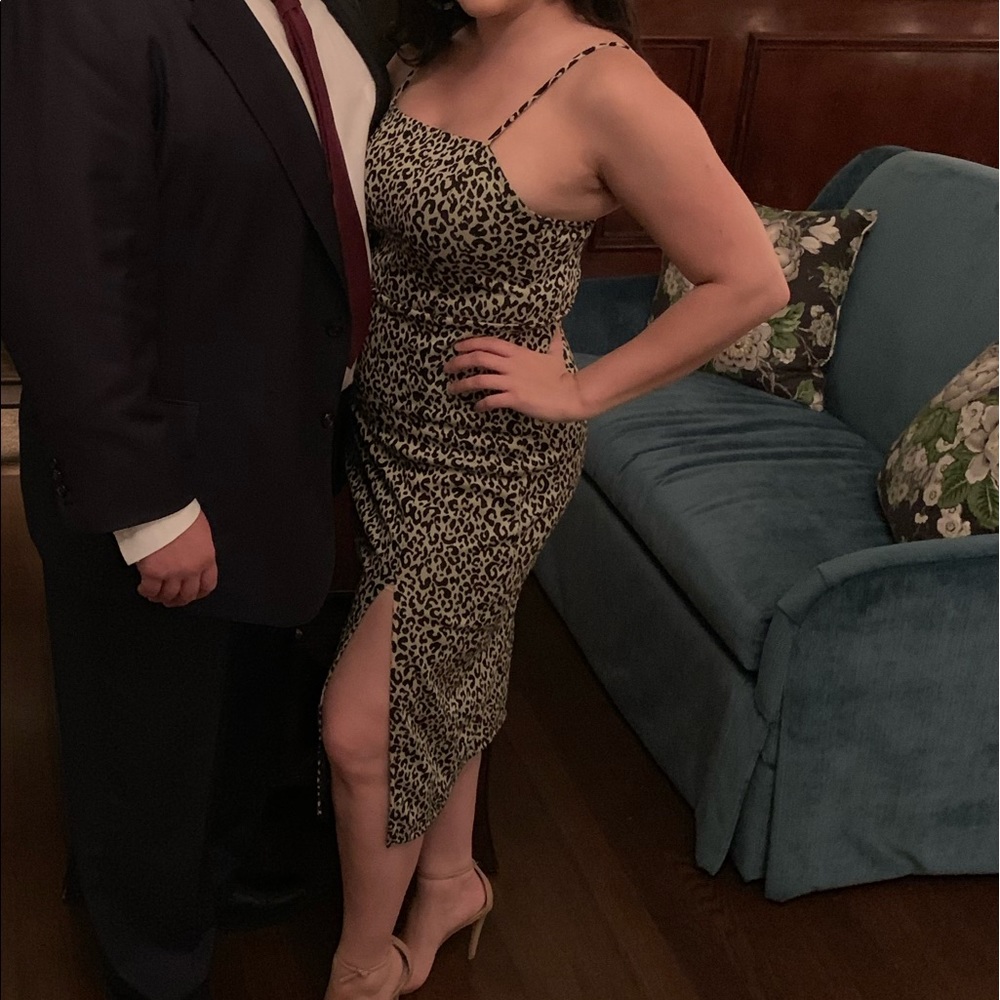 Leopard Zara Dress